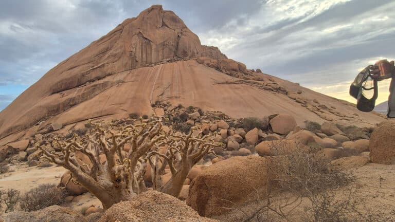 Affordable Sea to Sand Adventure Swakopmund Walvis Bay Spitzkoppe