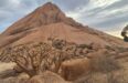 Spitzkop Baobab Affordable Sea to Sand Adventure Swakopmund Walvis Bay Spitzkoppe