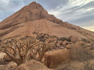 Affordable Sea to Sand Adventure Swakopmund Walvis Bay Spitzkoppe